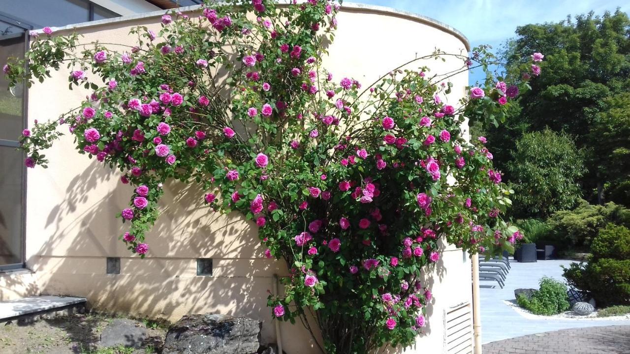 Le Manoir De La Mantille Caudry Buitenkant foto